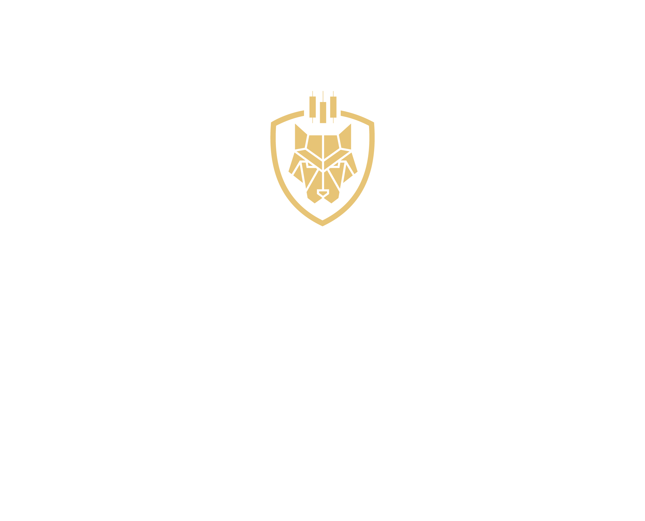 Wolf Forex Academy Hispano